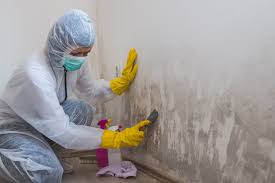 Asbestos and Lead Testing During Mold Inspection in Isle Of Palms, SC